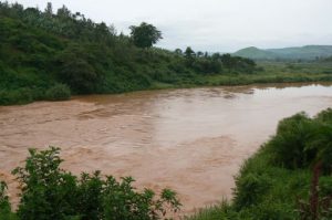 Kagera River between Uganda and Tanzania