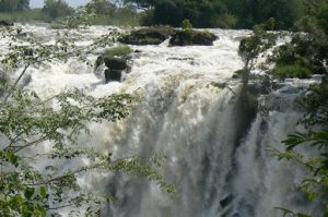 The river's course is dotted with numerous tree-covered islands, which