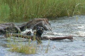 Sitting in the Zabezi River just