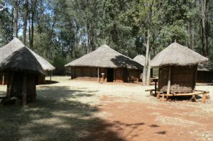 Tribal villages and huts at the