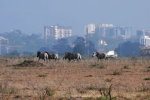 Nairobi National