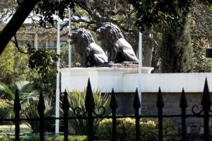 City center park in Nairobi