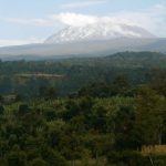 Mount Kilimanjaro rises high and majestic above the rural and