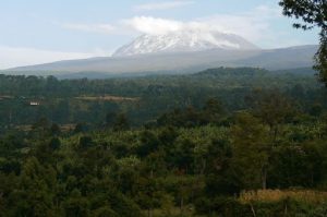 Mount Kilimanjaro rises high and majestic above the rural and