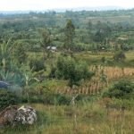 Fertile land around Mount Kilimanjaro