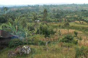 Fertile land around Mount Kilimanjaro