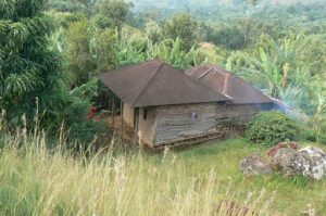 Farm houses near Mount Kilimanjaro