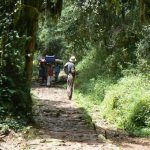 Porters carrying supplies down the trail from Kilimanjaro