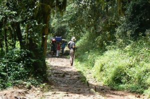 Porters carrying supplies down the trail from Kilimanjaro