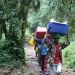 Porters carrying supplies down the trail from Kilimanjaro