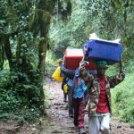 Porters carrying supplies down the trail from Kilimanjaro