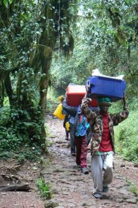 Porters carrying supplies down the trail from Kilimanjaro