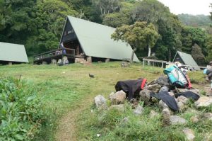First base camp on the trail to Kilimanjaro