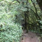 On the trail to Kilimanjaro