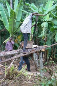 Sawing planks by hand in Marangu.