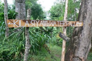 On the trail to Kilasiya waterfall in the forest of