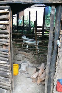 Animal stall in a village farm house in the forest