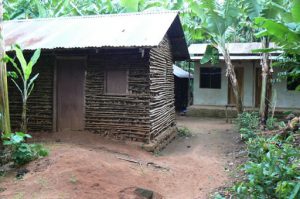 Village farm houses in the forest of Marangu.