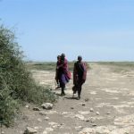 Masai walk for miles over their lands.
