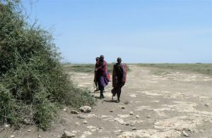 Masai walk for miles over their lands.