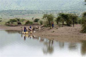 Masai women gathering water by hand which is carried back