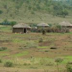 Traditional Masai village housing