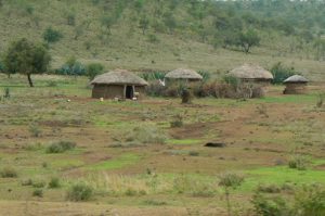 Traditional Masai village housing