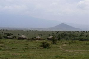 Traditional Masai village housing