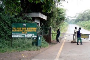 One of the entrances to the crater in the Ngorongoro