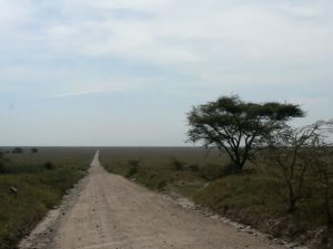 The floor of the crater is 260km2 (102 square miles).