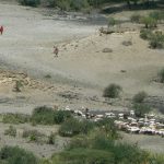 Some Masai herders live in the gorge.