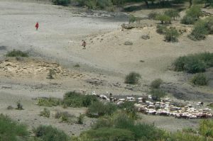 Some Masai herders live in the gorge.