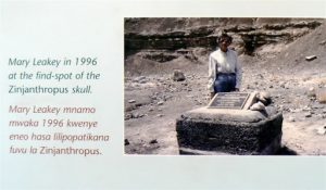 Mary Leakey in the gorge in 1996.