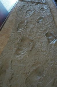 Museum display at the site of