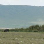 An elephant against the backdrop of the crater's rim. The crater
