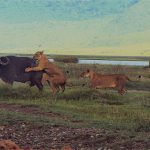 The buffalo struggles to shake off the attack; only one