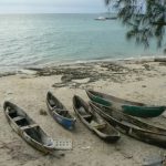 Dugout canoes in Stone Town