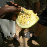 Inside durian fruit