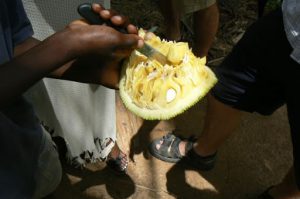 Inside durian fruit