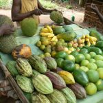 Cutting durian fruit for sale.