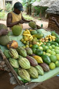 Cutting durian fruit for sale.