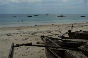 Fishing boats