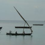 Fishing boats return in the late morning.