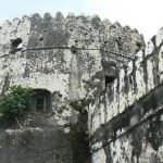 The Arab Fort in Stone Town, It is also known as