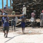 Stone Town port: unloading a shipload of hardwood lumber by