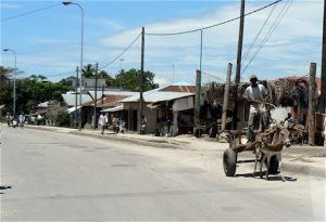 On the road north from Stone Town