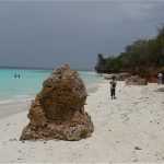 Zanzibar beaches