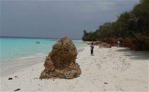 Zanzibar beaches