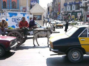 Alexandria - busy daily life