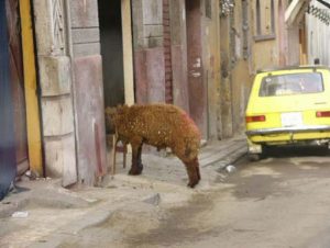 Alexandria, Egypt